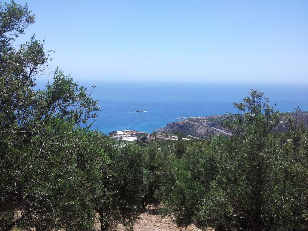 Stefanos Apartments Agia Fotia  Eksteriør billede